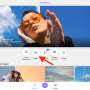 photoleap8.png