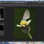 affinity_photo_screenshot.png